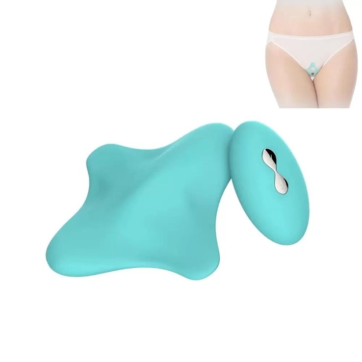 Kablosuz Kumandalı Titreşimli Vibratör