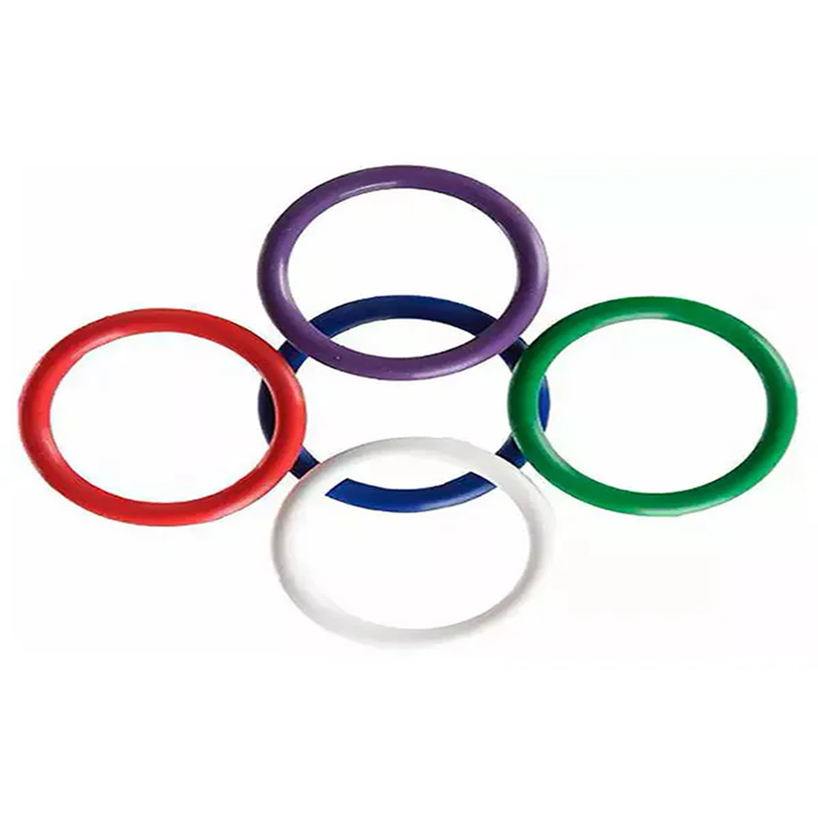 RainBow Pleasure 5’li Renkli Halka Seti